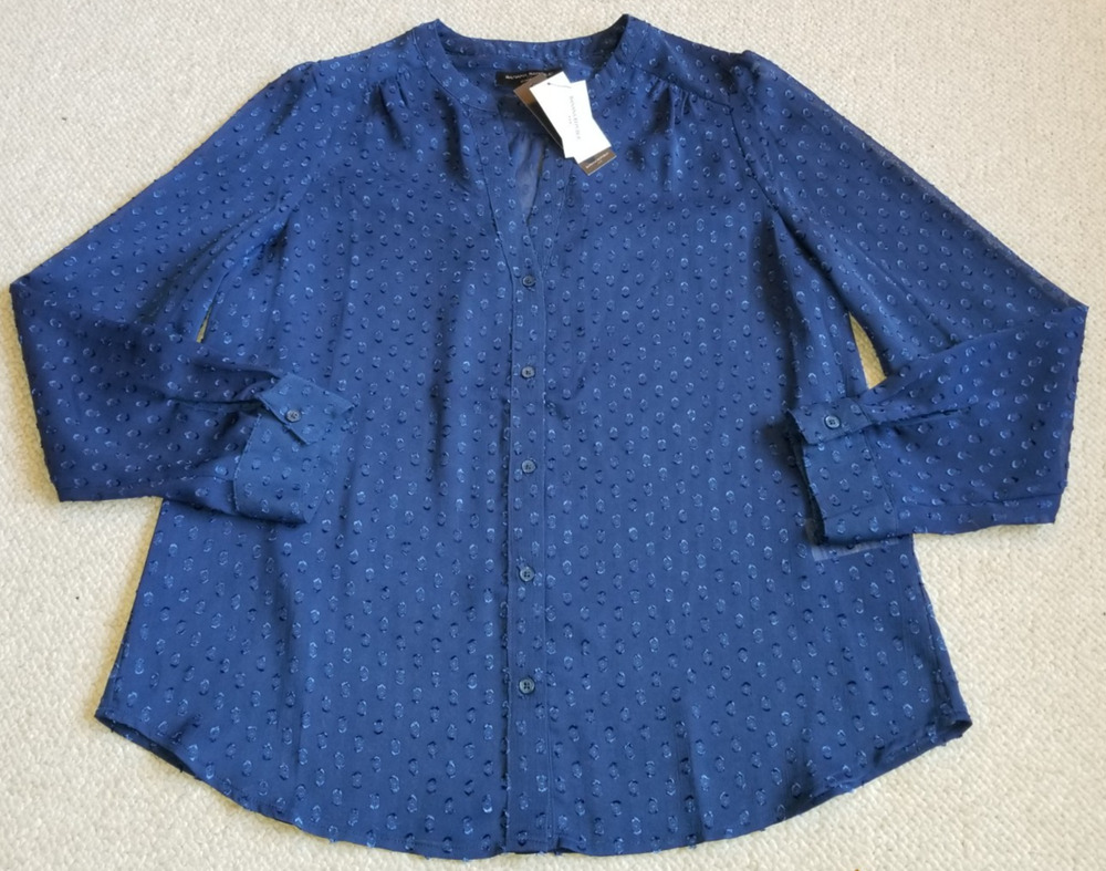 NWT Womens Top-BANANA REPUBLIC-blue sheer burnout 'Classic Fit' button-up-M
